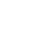 Icon Sonnenbrille